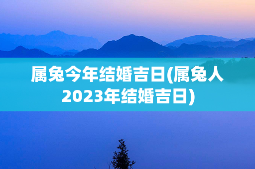 属兔今年结婚吉日(属兔人2023年结婚吉日)