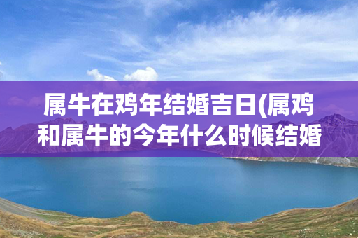 属牛在鸡年结婚吉日(属鸡和属牛的今年什么时候结婚好)