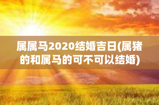 属属马2020结婚吉日(属猪的和属马的可不可以结婚)