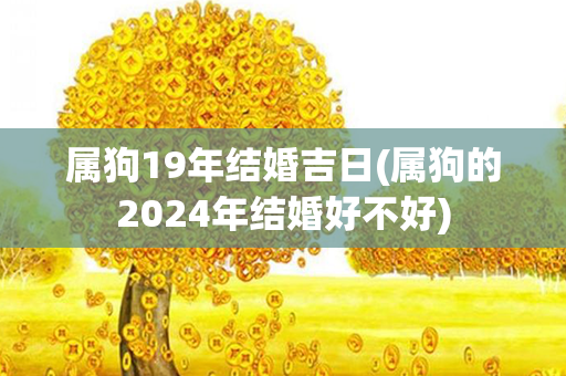 属狗19年结婚吉日(属狗的2024年结婚好不好)