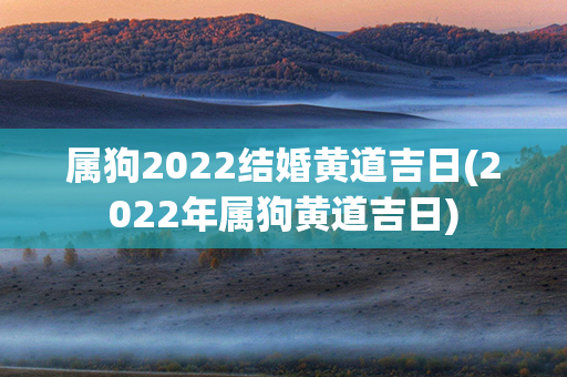 属狗2022结婚黄道吉日(2022年属狗黄道吉日)