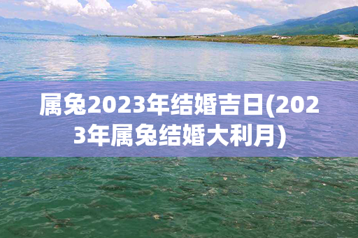 属兔2023年结婚吉日(2023年属兔结婚大利月)