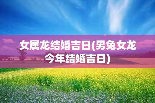 女属龙结婚吉日(男兔女龙今年结婚吉日)