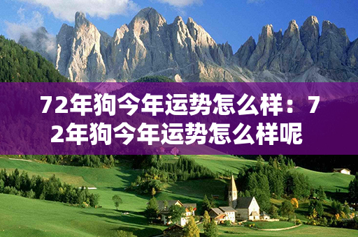 72年狗今年运势怎么样：72年狗今年运势怎么样呢 