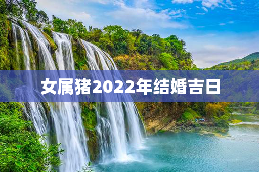 女属猪2022年结婚吉日