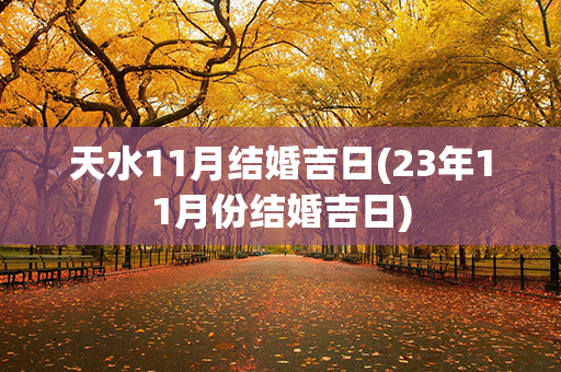 天水11月结婚吉日(23年11月份结婚吉日)