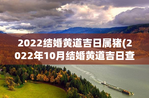 2022结婚黄道吉日属猪(2022年10月结婚黄道吉日查询)