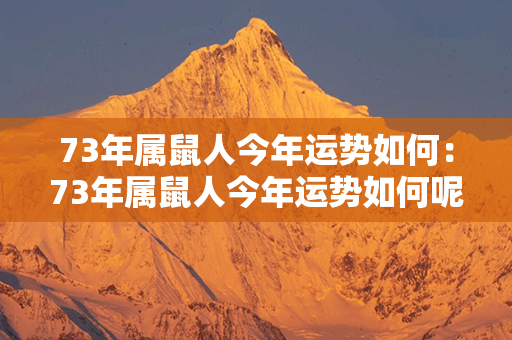 73年属鼠人今年运势如何：73年属鼠人今年运势如何呢 