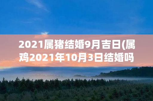 2021属猪结婚9月吉日(属鸡2021年10月3日结婚吗)