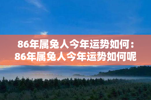 86年属兔人今年运势如何：86年属兔人今年运势如何呢 