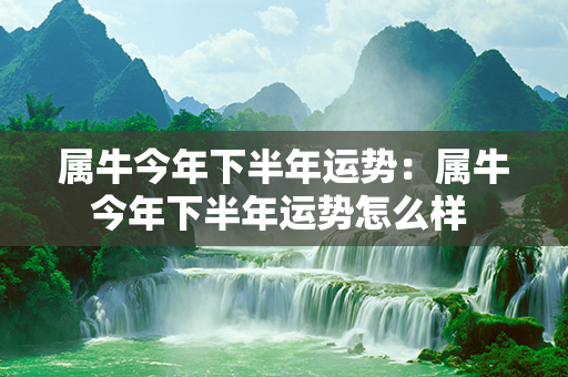 属牛今年下半年运势：属牛今年下半年运势怎么样 