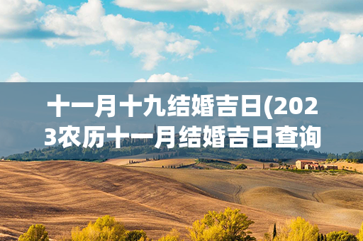 十一月十九结婚吉日(2023农历十一月结婚吉日查询表)