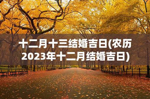 十二月十三结婚吉日(农历2023年十二月结婚吉日)