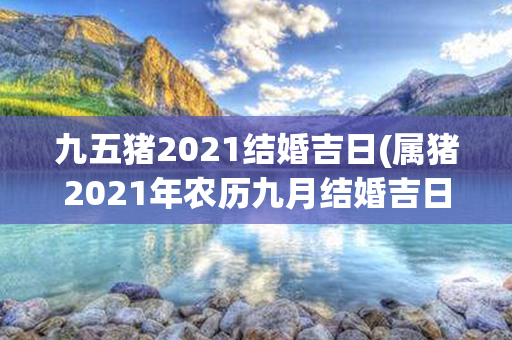 九五猪2021结婚吉日(属猪2021年农历九月结婚吉日)