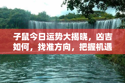 子鼠今日运势大揭晓，凶吉如何，找准方向，把握机遇，开启幸福之门！