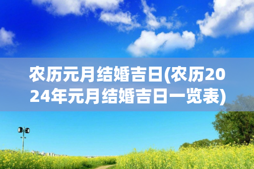 农历元月结婚吉日(农历2024年元月结婚吉日一览表)