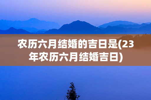 农历六月结婚的吉日是(23年农历六月结婚吉日)