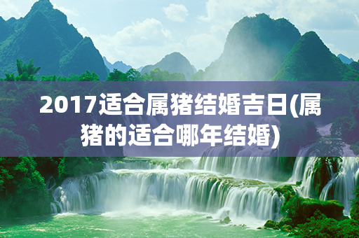 2017适合属猪结婚吉日(属猪的适合哪年结婚)