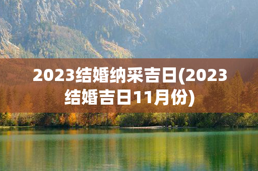 2023结婚纳采吉日(2023结婚吉日11月份)