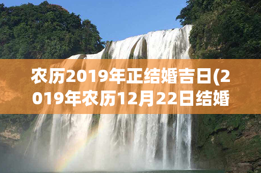 农历2019年正结婚吉日(2019年农历12月22日结婚好吗)