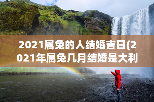 2021属兔的人结婚吉日(2021年属兔几月结婚是大利月)