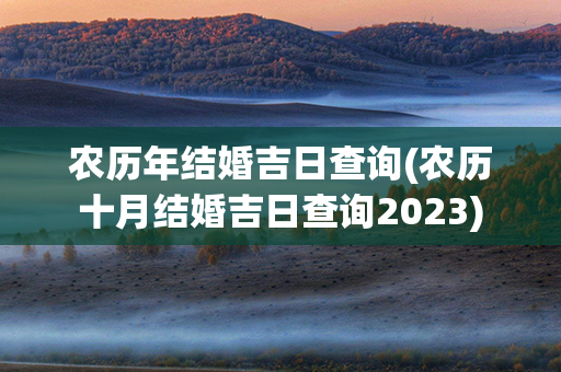 农历年结婚吉日查询(农历十月结婚吉日查询2023)