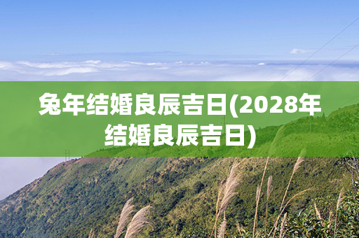 兔年结婚良辰吉日(2028年结婚良辰吉日)