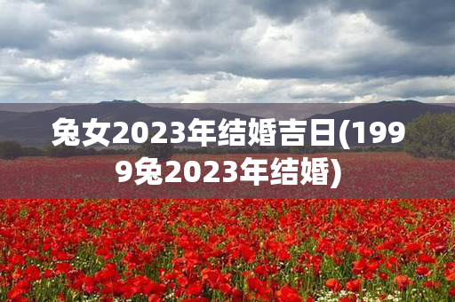 兔女2023年结婚吉日(1999兔2023年结婚)