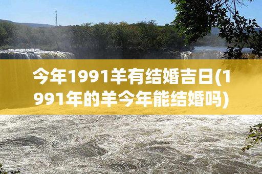 今年1991羊有结婚吉日(1991年的羊今年能结婚吗)