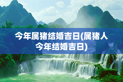 今年属猪结婚吉日(属猪人今年结婚吉日)