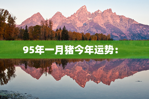 95年一月猪今年运势： 