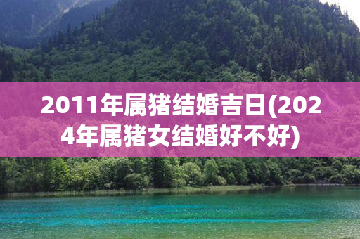 2011年属猪结婚吉日(2024年属猪女结婚好不好)