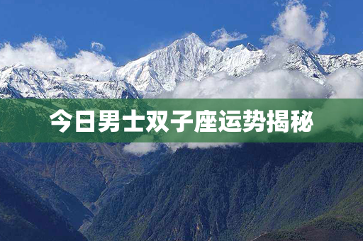 今日男士双子座运势揭秘