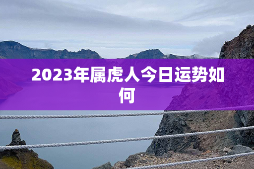 2023年属虎人今日运势如何