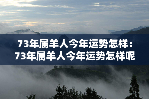 73年属羊人今年运势怎样：73年属羊人今年运势怎样呢 