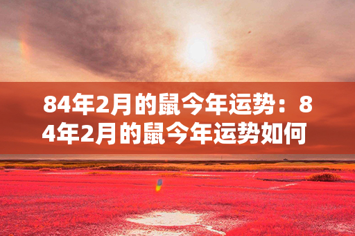 84年2月的鼠今年运势：84年2月的鼠今年运势如何 