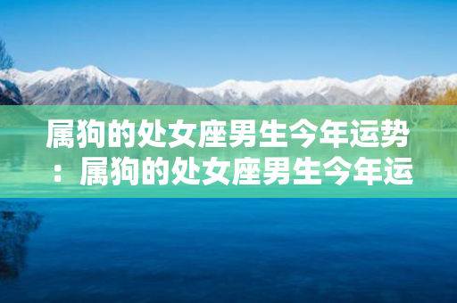 属狗的处女座男生今年运势：属狗的处女座男生今年运势如何 