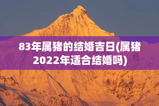 83年属猪的结婚吉日(属猪2022年适合结婚吗)