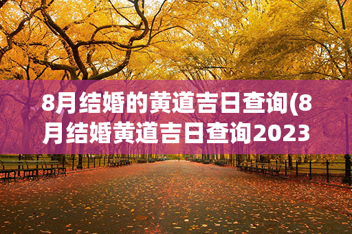 8月结婚的黄道吉日查询(8月结婚黄道吉日查询2023年农历8月初二适合结婚吗)