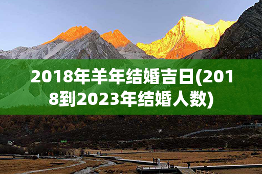 2018年羊年结婚吉日(2018到2023年结婚人数)