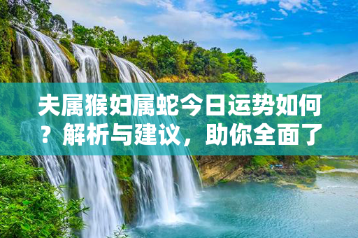 夫属猴妇属蛇今日运势如何？解析与建议，助你全面了解！