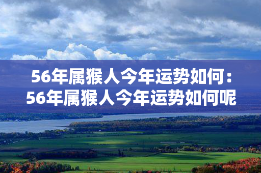 56年属猴人今年运势如何：56年属猴人今年运势如何呢 