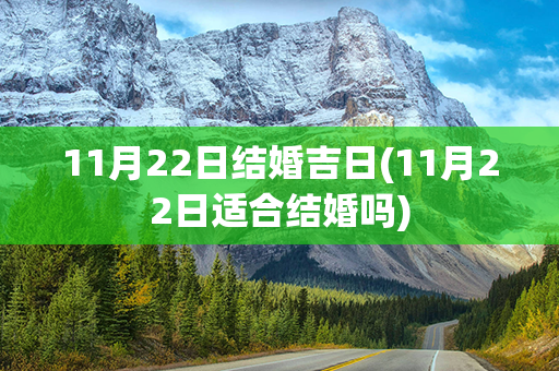 11月22日结婚吉日(11月22日适合结婚吗)