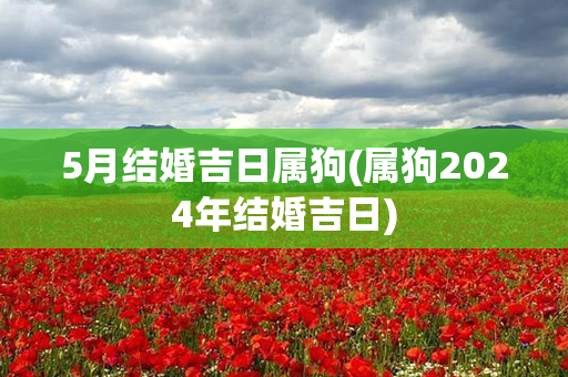 5月结婚吉日属狗(属狗2024年结婚吉日)