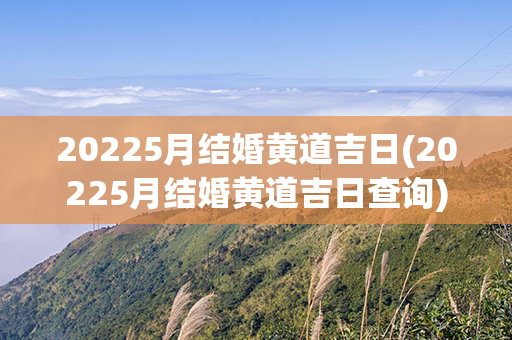 20225月结婚黄道吉日(20225月结婚黄道吉日查询)