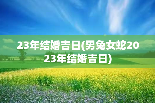 23年结婚吉日(男兔女蛇2023年结婚吉日)