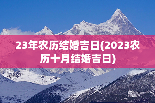 23年农历结婚吉日(2023农历十月结婚吉日)