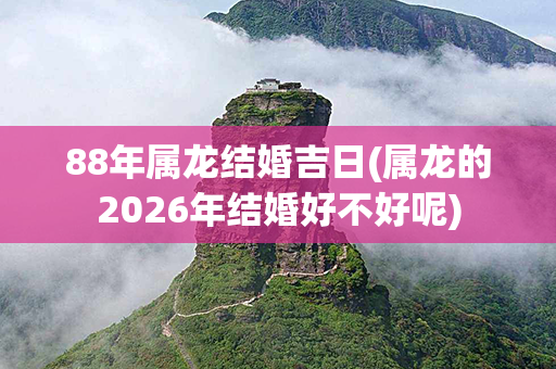 88年属龙结婚吉日(属龙的2026年结婚好不好呢)