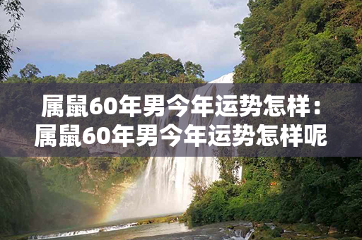 属鼠60年男今年运势怎样：属鼠60年男今年运势怎样呢 