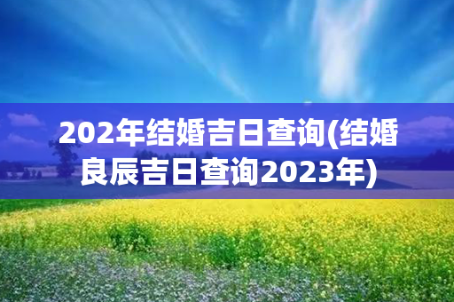 202年结婚吉日查询(结婚良辰吉日查询2023年)